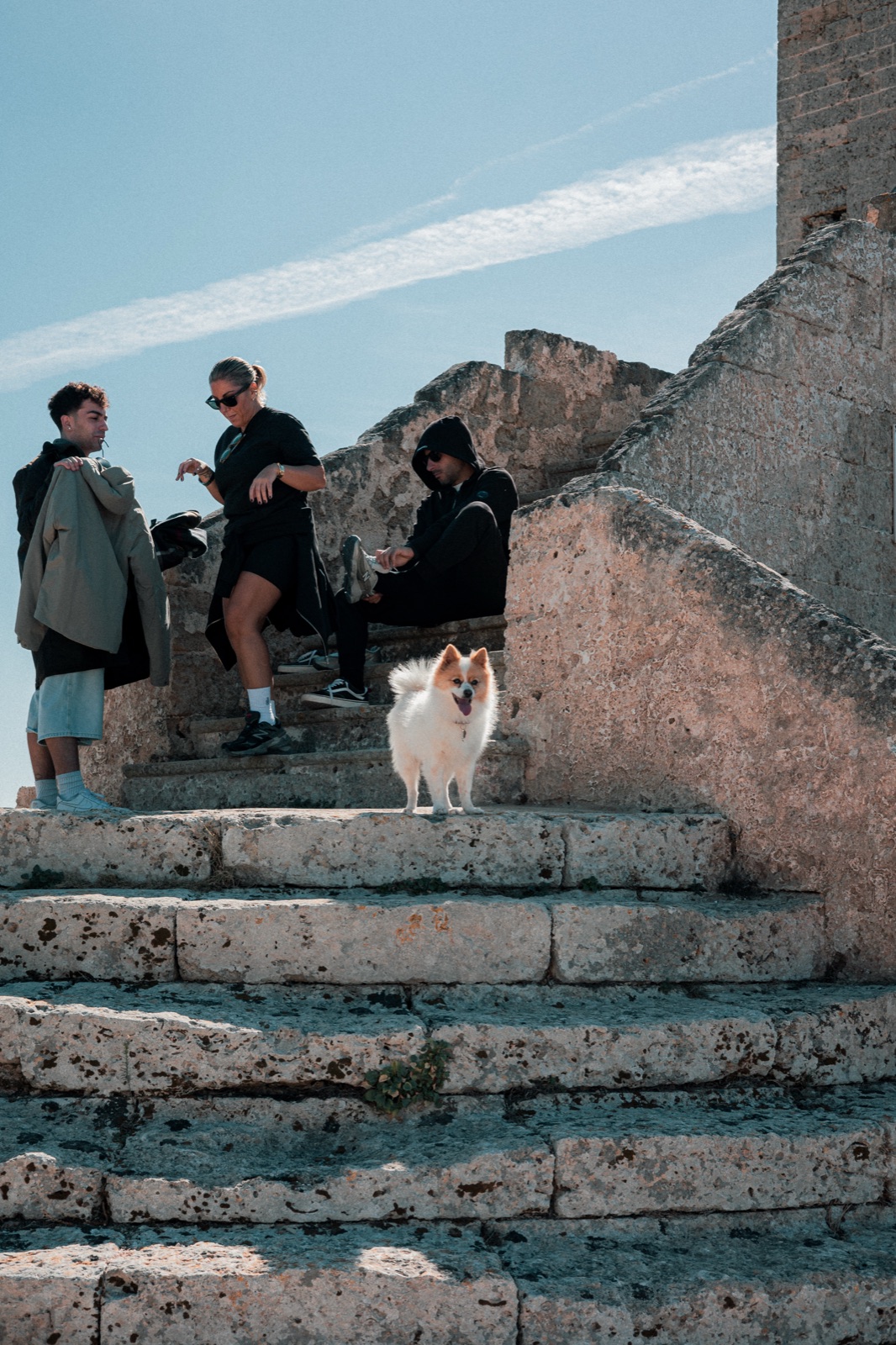 gruppo sulla scalinata con il cane