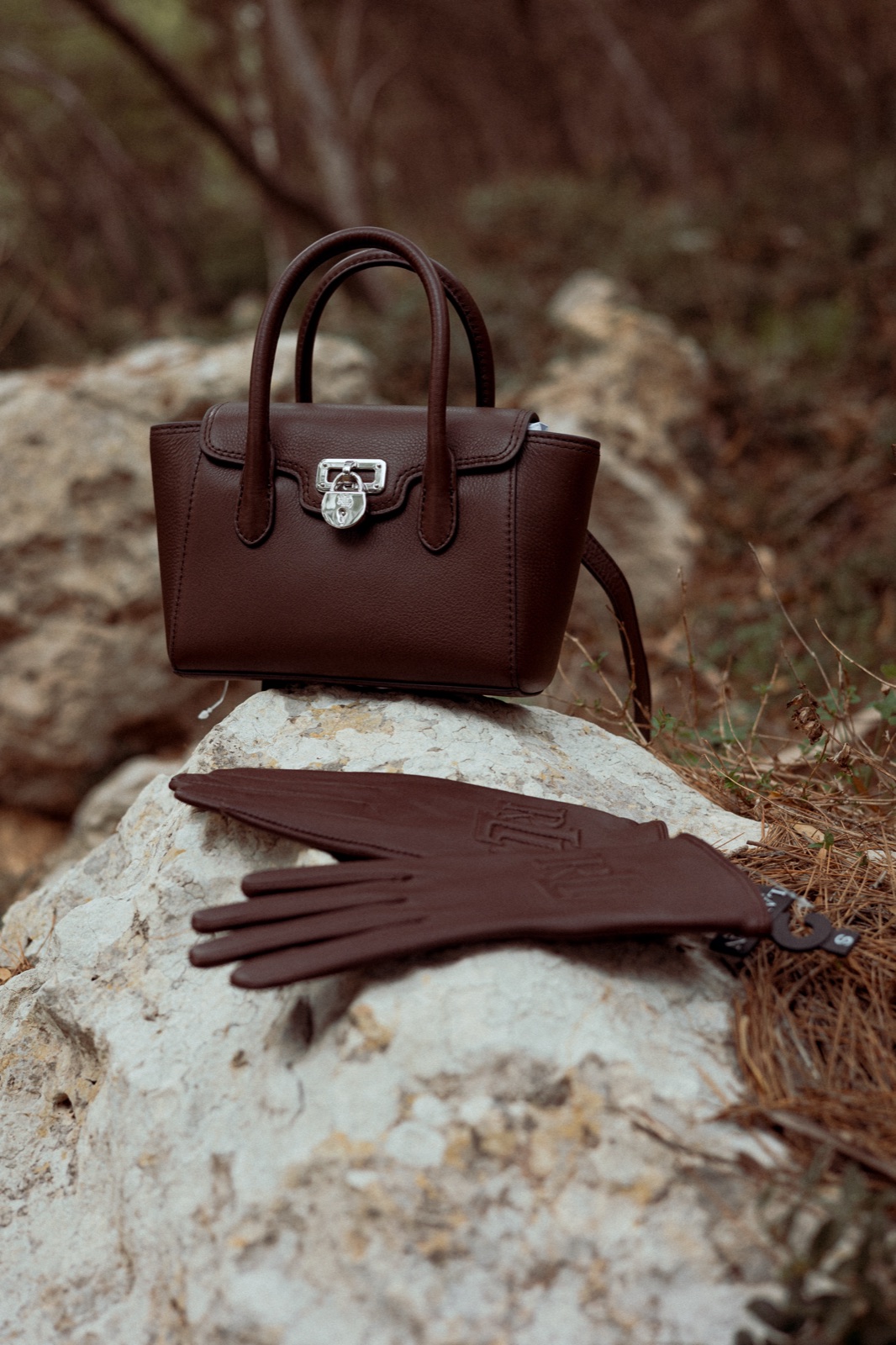 borsa e guanti bordeaux sulla roccia bianca nella pineta