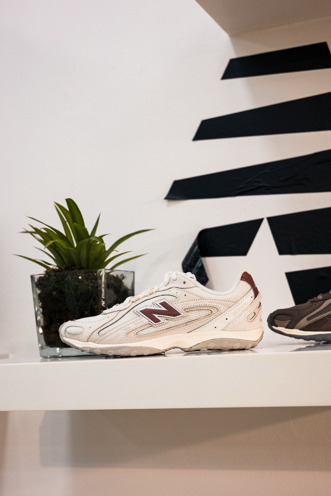 sneaker sulla mensola con pianta e logo a strisce